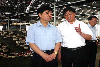 千赢国际官网首页