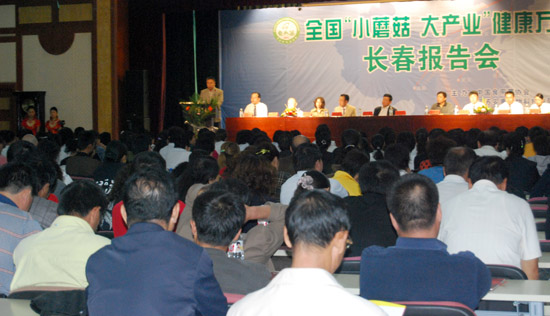 千赢国际官网首页